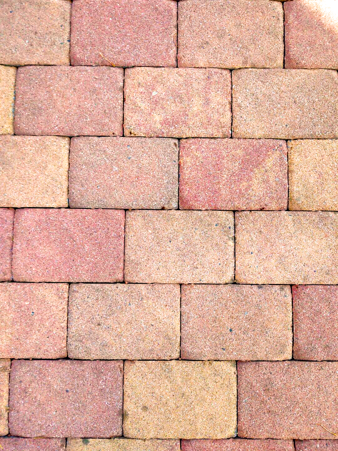 Close-up of neatly arranged rectangular reddish and tan paving stones in alternating rows.