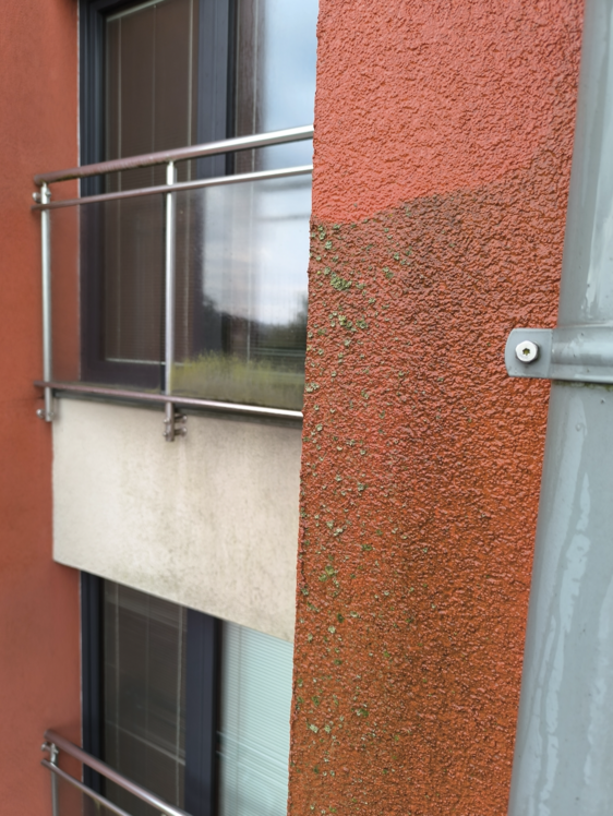 Close-up of an exterior building wall with textured red paint and some green moss growth, adjacent to a gray metal pipe, with windows and metal railings in the background.