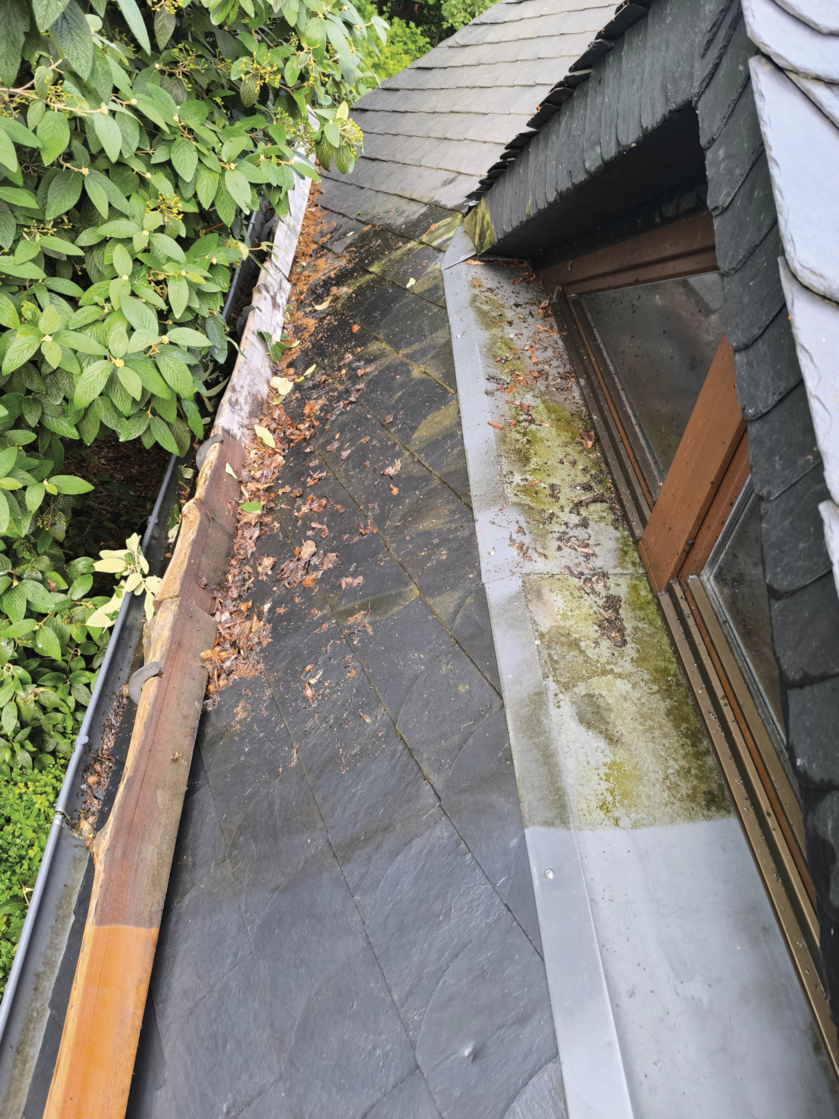 Roof section with dark slate tiles, some moss near a dormer window, and dried leaves along a wooden gutter edge beside green foliage.